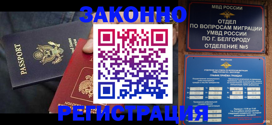 прописка законно в Губкинском